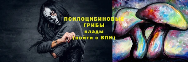 ГАЛЛЮЦИНОГЕННЫЕ ГРИБЫ Володарск