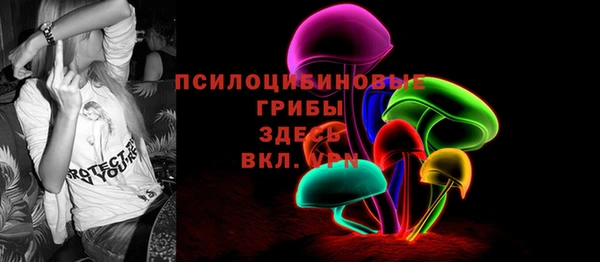 ГАЛЛЮЦИНОГЕННЫЕ ГРИБЫ Володарск