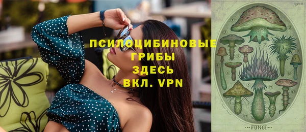 ГАЛЛЮЦИНОГЕННЫЕ ГРИБЫ Володарск
