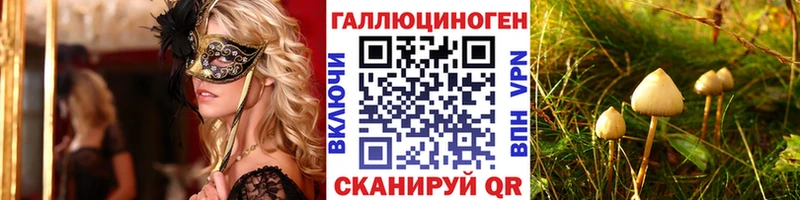 Псилоцибиновые грибы GOLDEN TEACHER  наркотики  KRAKEN ссылка  Кисловодск 
